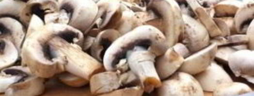 грибы со сливками. Шаг 2