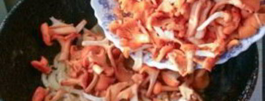 лисички, жареные в сметане. Шаг 2