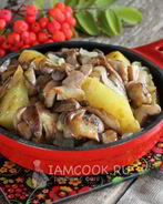 Маслята жареные с картошкой