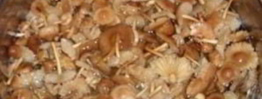 опята с картошкой в духовке. Шаг 2