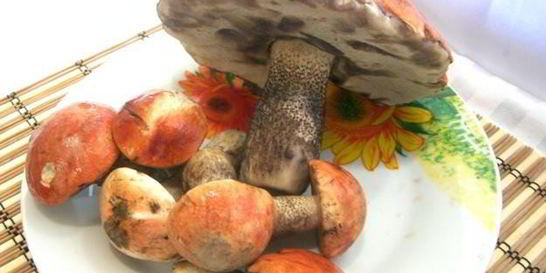 Подосиновики, жареные с луком