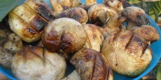 Шампиньоны гриль