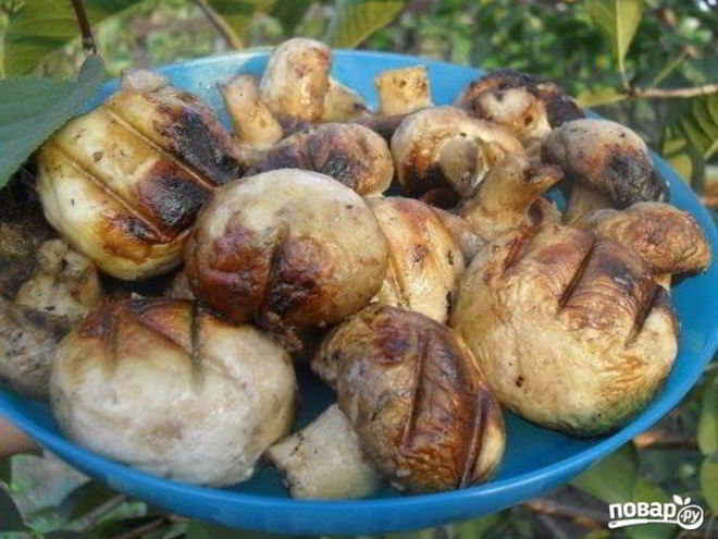 Рецепт шампиньонов гриль
