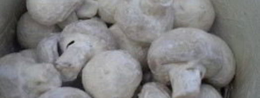 шампиньоны гриль. Шаг 2