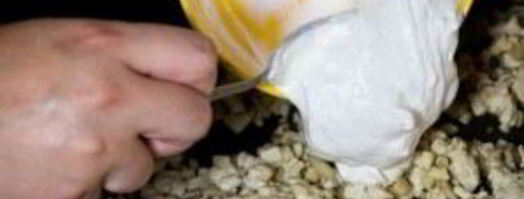 шампиньоны с курицей и сыром. Шаг 4