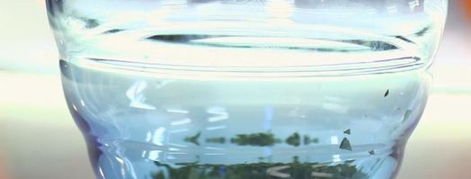 шампиньоны с яйцом и зеленью. Шаг 2