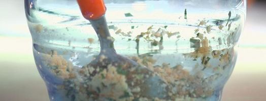 шампиньоны с яйцом и зеленью. Шаг 3