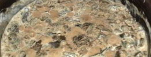 тушеные моховики. Шаг 4