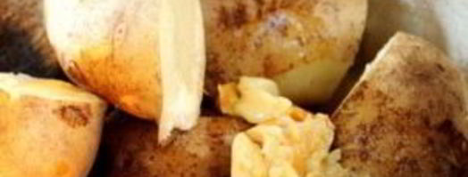 картофельное пюре с чесноком и сыром. Шаг 4