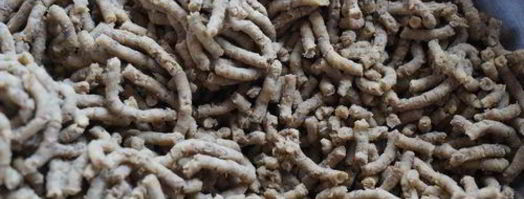 чечевичные котлеты. Шаг 4