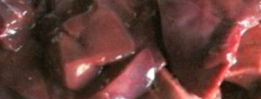 печеночные котлеты из говяжьей печени. Шаг 2