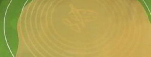 вкусная домашняя лазанья. Шаг 10