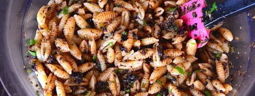 паста по-сардински. Шаг 5