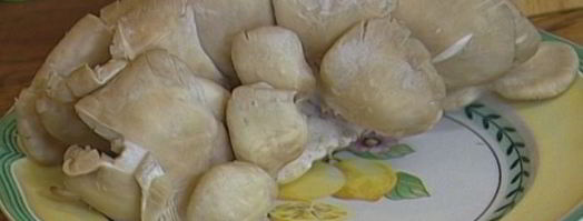 паста с грибами, цыпленком и сливочным соусом. Шаг 3