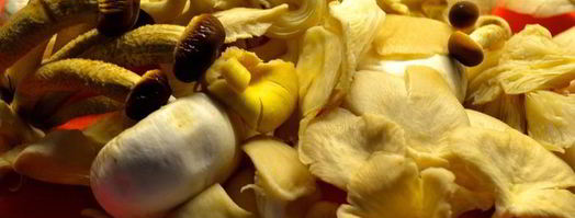 морковные клецки с грибами. Шаг 7