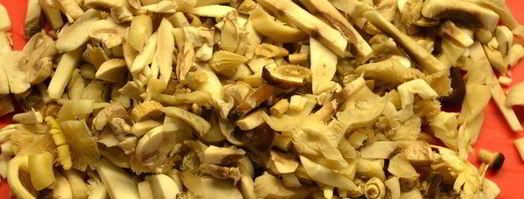 морковные клецки с грибами. Шаг 8