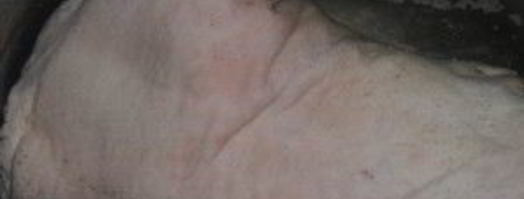 свиная рулька по-немецки. Шаг 2