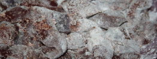 нежная говяжья печень в сметанном соусе. Шаг 2