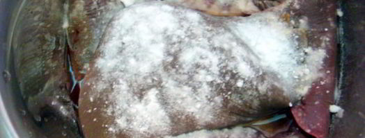 печень говяжья по-строгановски классически. Шаг 2