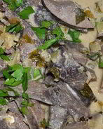 Свиная печень в соусе