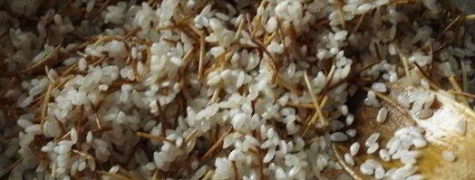 классический турецкий пилав с вермишелью. Шаг 2