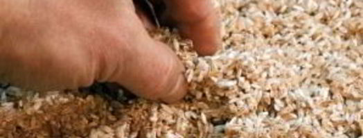 плов в казане по-узбекски. Шаг 2