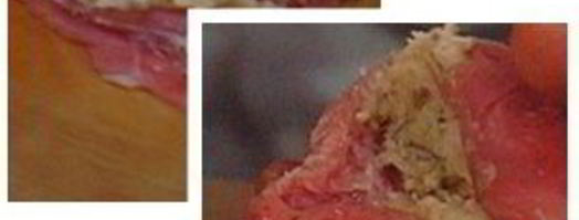 филе теленка фаршированное маслом грецкого ореха с рагу из кольраби. Шаг 3