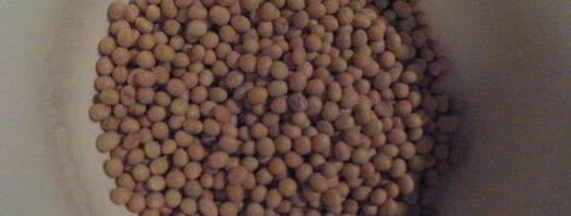 рагу с соевыми бобами в чугунке. Шаг 2