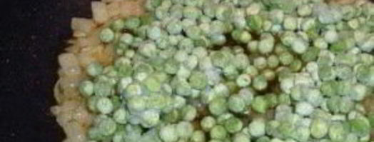 кантонское ризотто. Шаг 3