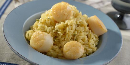 Ризотто с морским гребешком
