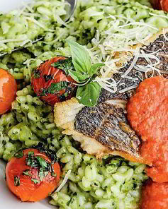 Сибас с лимонно-базиликовым ризотто