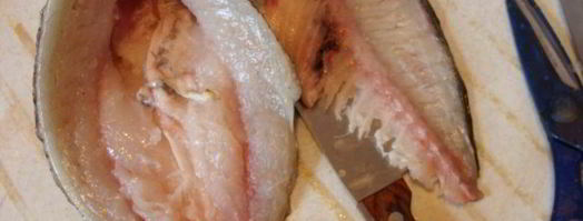 дорада под пармезаном со сливочно-шпинатной начинкой. Шаг 2