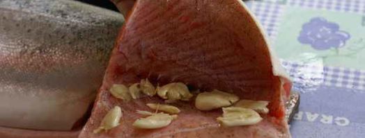 форель горячего копчения. Шаг 4