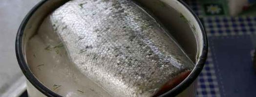 форель горячего копчения. Шаг 7