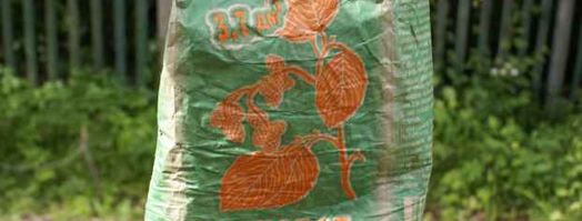 форель горячего копчения. Шаг 11