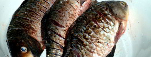 караси в сметанном соусе. Шаг 2