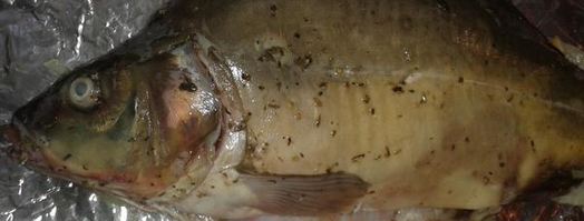 карп нежный с овощами. Шаг 5