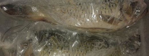 карп запеченный с грибами в сметане. Шаг 8