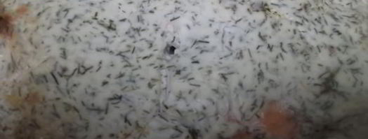 лосось в духовке. Шаг 4