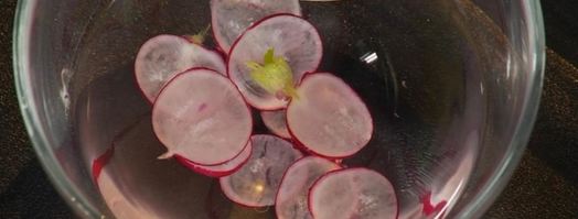 морской гребешок на пюре из цветной капусты. Шаг 3