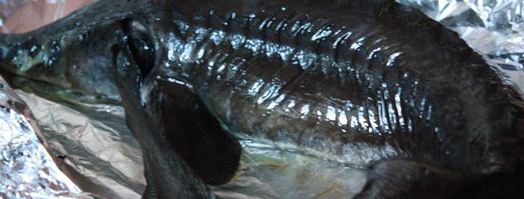 осетрина с лионским соусом. Шаг 8