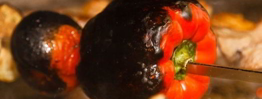 шашлык из курицы с овощами. Шаг 5