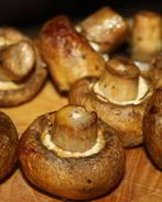 Шашлык из шампиньонов