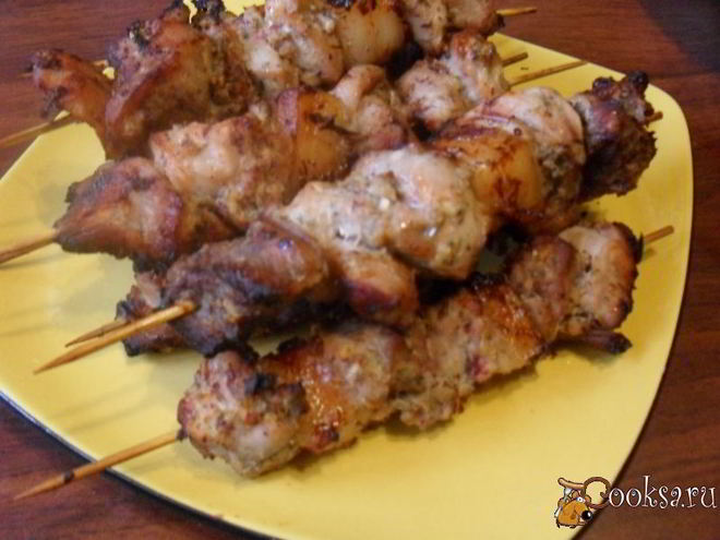 Рецепт шашлыка из свинины в аэрогриле