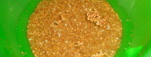 гречневые тефтели. Шаг 2