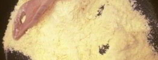 тефтели из индейки в пикантном соусе. Шаг 10