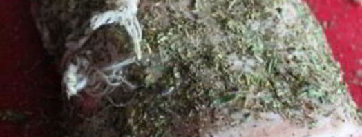 жаркое по-французски. Шаг 7