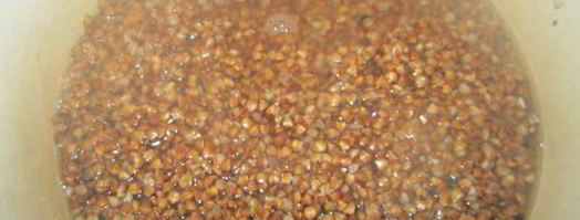 гречка с курицей под сметанно-грибным соусом. Шаг 3