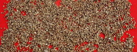 гречка в мультиварке. Шаг 4