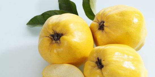 Домашнее вино из айвы